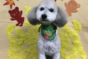 11月のお友達☆