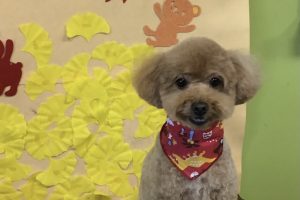 11月のお友達☆