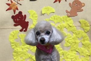 11月のお友達☆