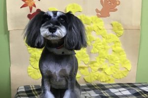 11月のお友達☆