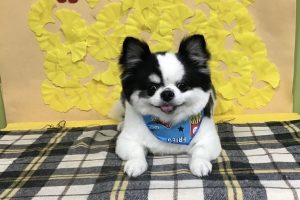 11月のお友達☆