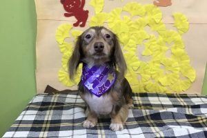 11月のお友達☆