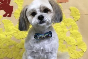11月のお友達☆