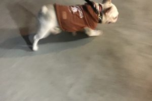 お泊まり中☆