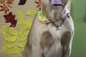 11月のお友達☆