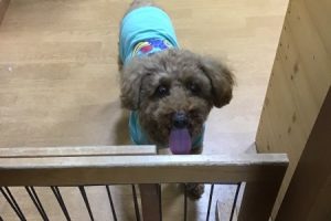 お泊まり中☆