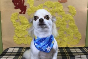 11月のお友達☆