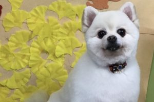 11月のお友達☆