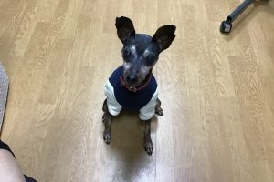 お泊り☆