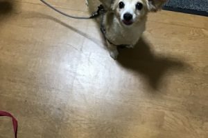 お泊り☆