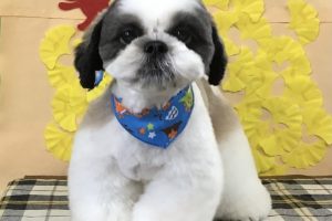 11月のお友達☆