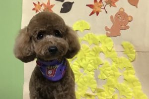 11月のお友達☆