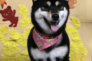 11月のお友達☆