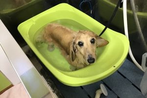 11月のお友達☆