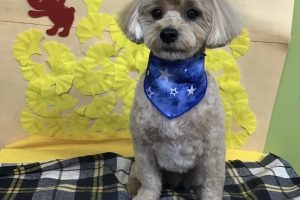 11月のお友達☆