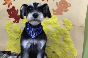 11月のお友達☆