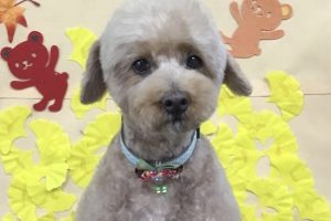 11月のお友達☆