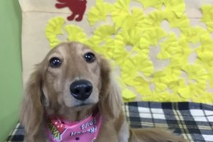 11月のお友達☆