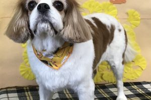 11月のお友達☆