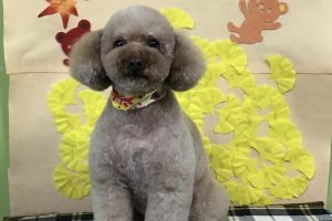 11月のお友達☆