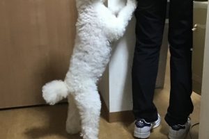 お泊り☆