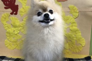 11月のお友達☆