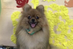 11月のお友達☆