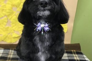 11月のお友達☆