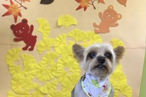 11月のお友達☆
