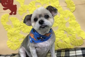 11月のお友達☆
