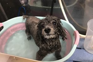 11月のお友達☆