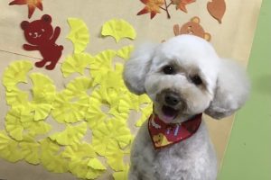 11月のお友達☆