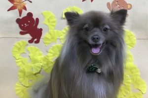 11月のお友達☆