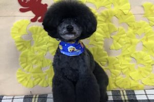 11月のお友達☆