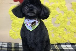 11月のお友達☆