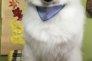 11月のお友達☆