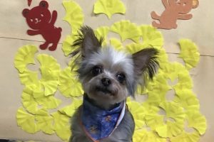 11月のお友達☆