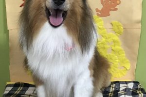 11月のお友達☆