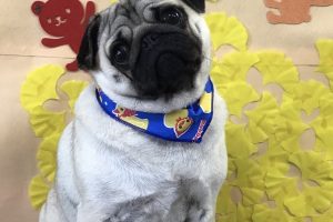 11月のお友達☆