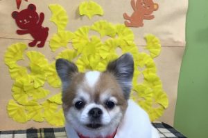 11月のお友達☆