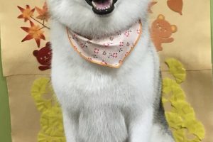 11月のお友達☆