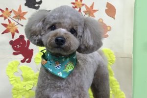 11月のお友達☆