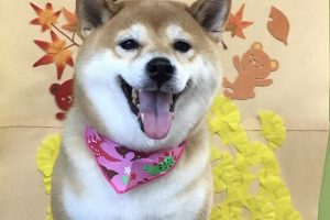 11月のお友達☆