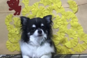 11月のお友達☆