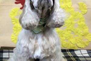 11月のお友達☆