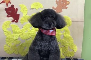 11月のお友達☆