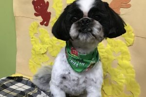 11月のお友達☆
