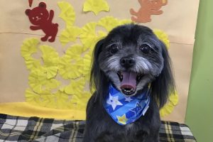 11月のお友達☆