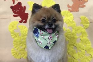 11月のお友達☆