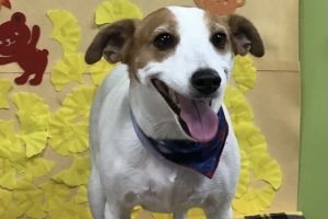 11月のお友達☆